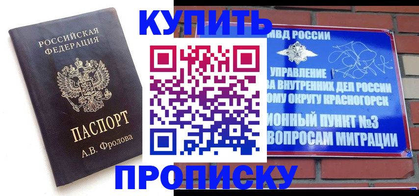 прописка поиск в Кольчугино